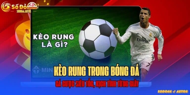 kèo rung tại sodo